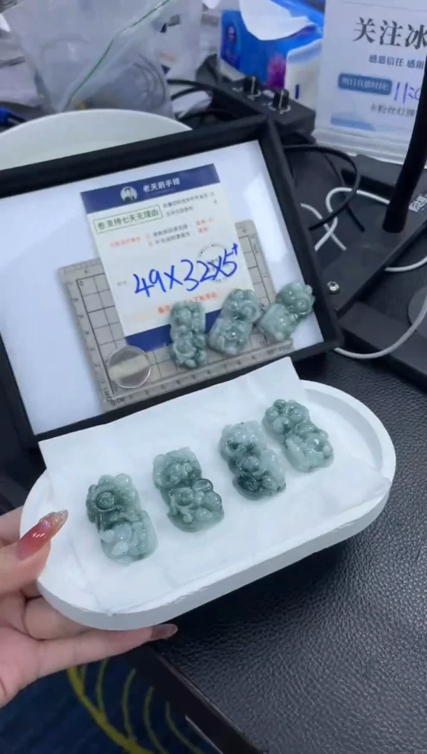 【闪购商品】翡翠挂件未镶嵌貔貅FL12配绳/多样性发其一CP