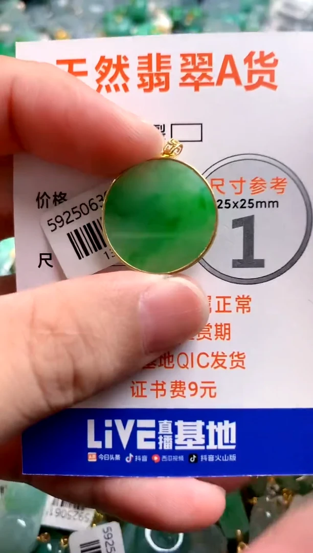 颈饰18K金镶嵌翡翠0583600575