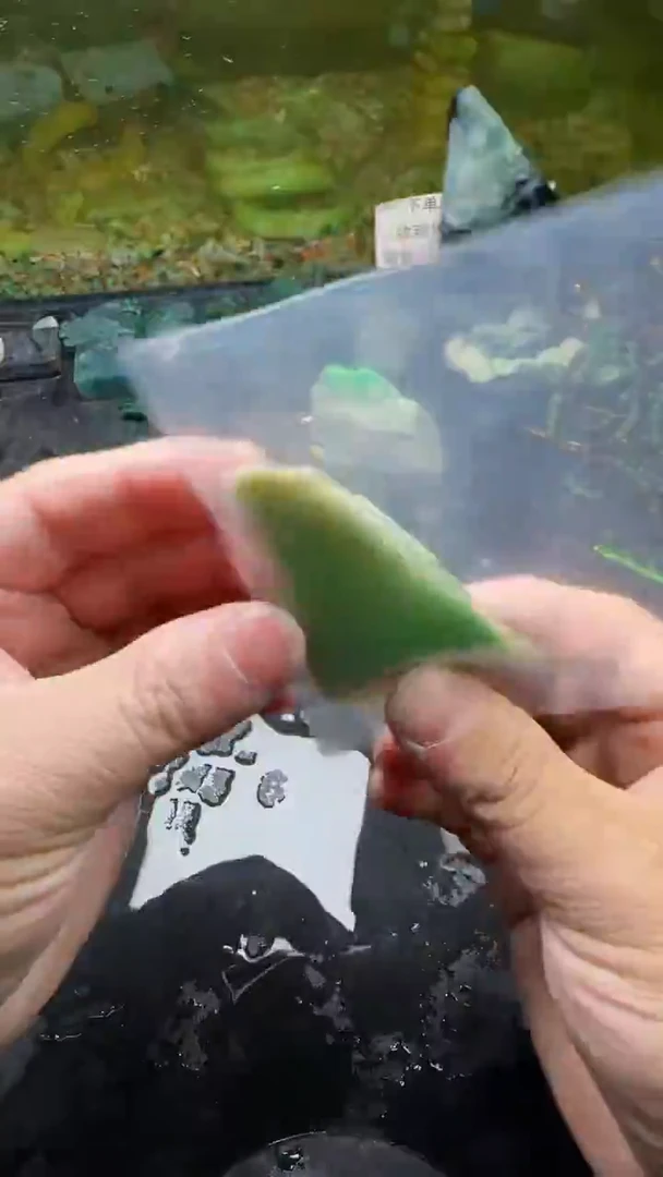 【闪购商品】翡翠颈饰未镶嵌228天然翡翠