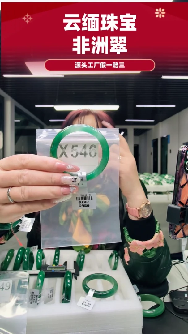 未镶嵌手镯石英质玉（非洲翠）54圈口X546