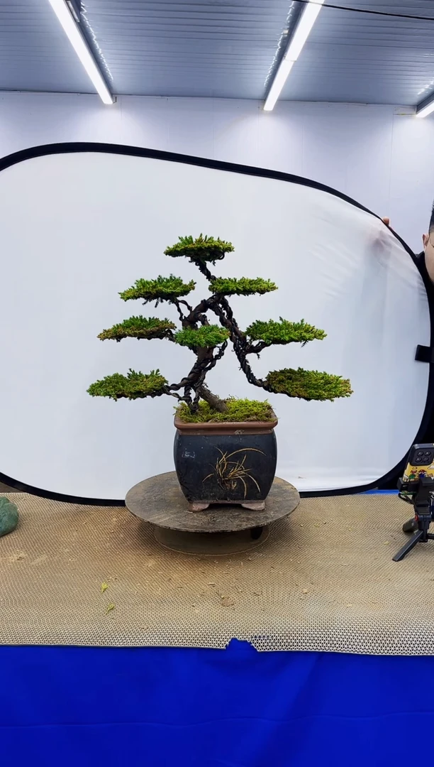 完全开放一物一拍，所见即所得