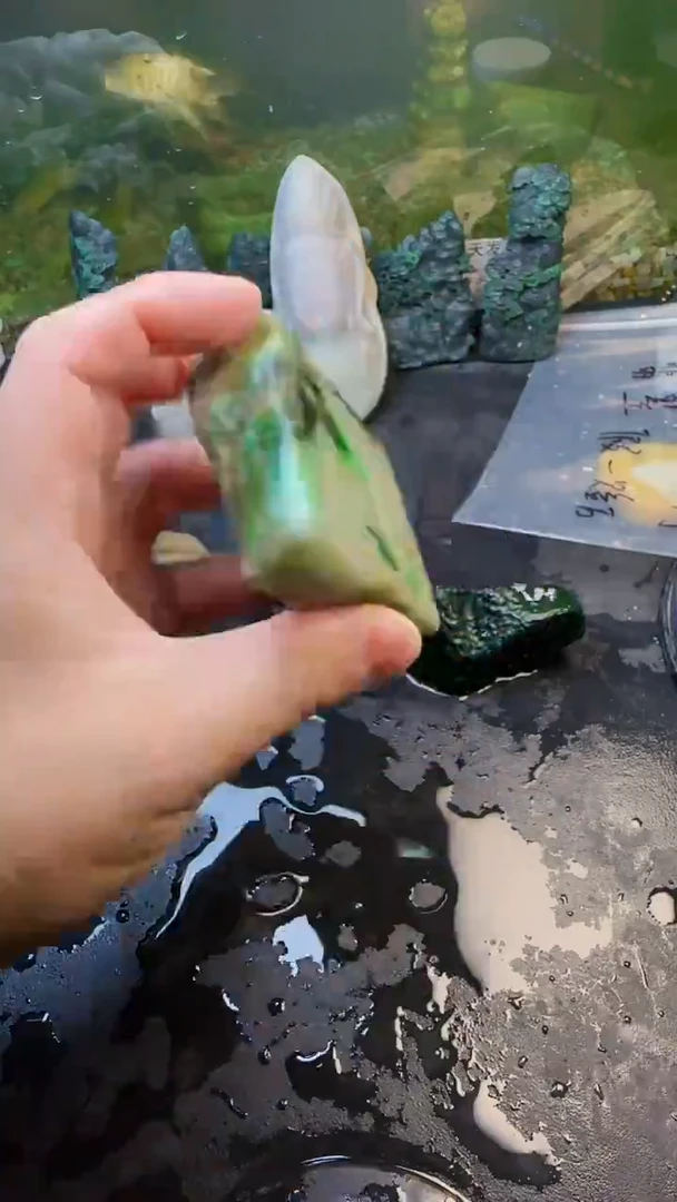 【闪购商品】翡翠颈饰未镶嵌090天然翡翠