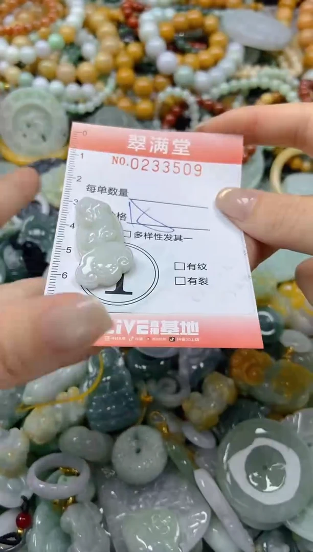 未镶嵌挂件翡翠闪购0233509