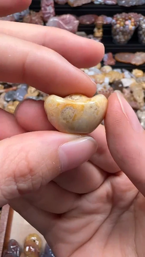 【闪购商品】硅化珊瑚（珊瑚玉）颈饰未镶嵌410