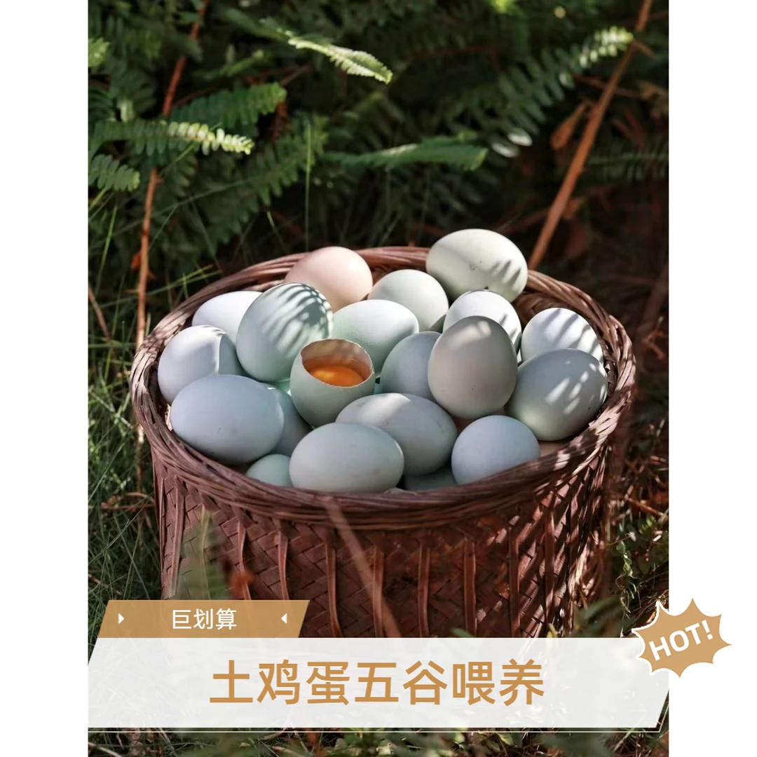 农村正宗散养土鸡蛋 0激0抗 五谷喂养 30枚新鲜包邮送到家