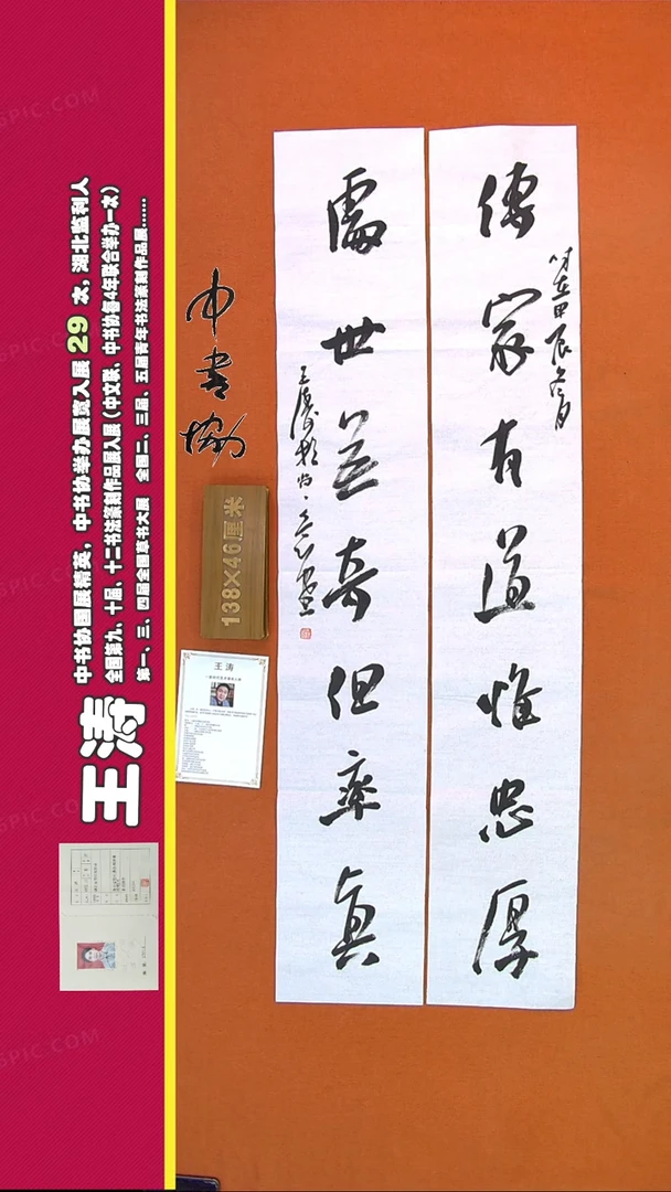 【闪购商品】书法315A王涛书法作品