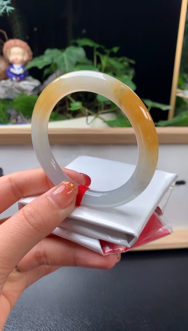 未镶嵌手镯翡翠黄翡圆条55+