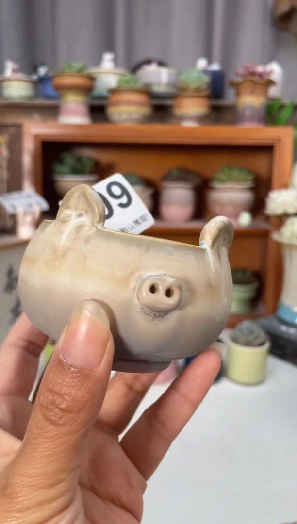 瓷片609知木小芳花盆