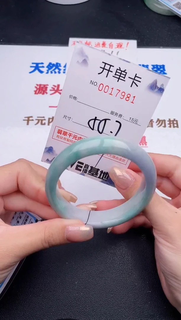 未镶嵌手镯翡翠81