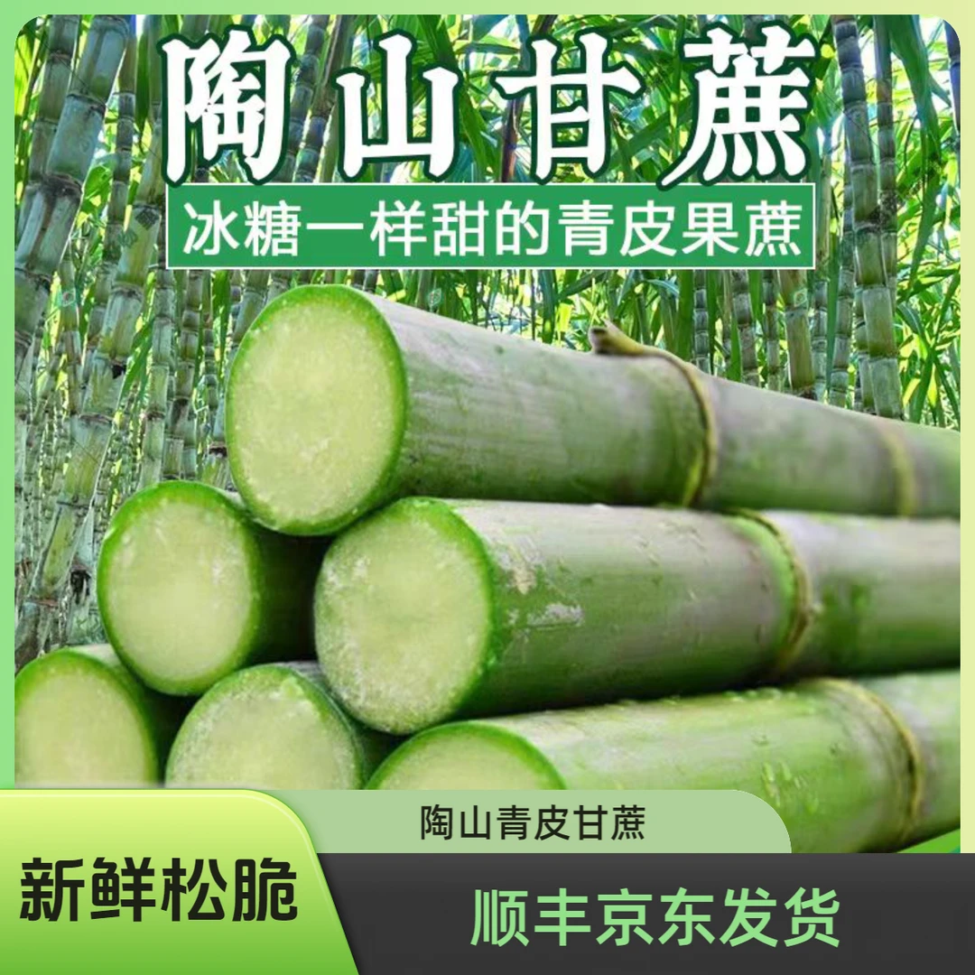 温州陶山青皮绿皮白玉甘蔗新鲜当季应季果蔗皮薄清甜顺丰冬季水果
