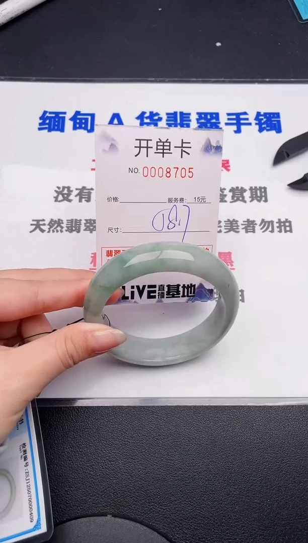 未镶嵌手镯翡翠05