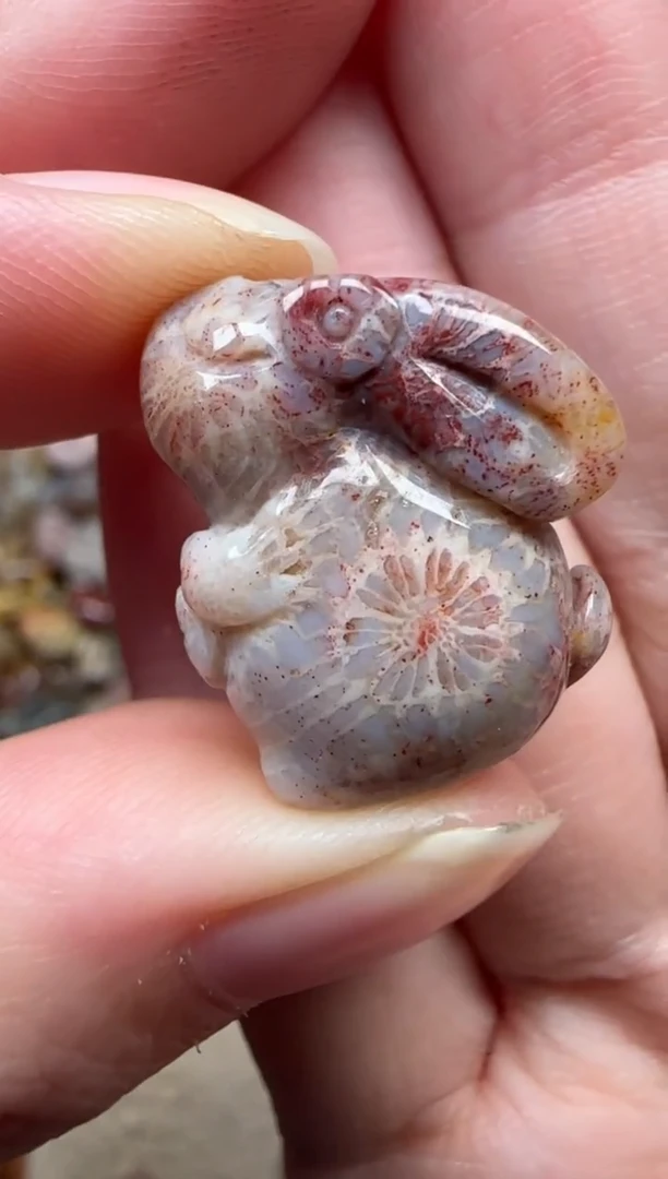 颈饰未镶嵌硅化珊瑚（珊瑚玉）829