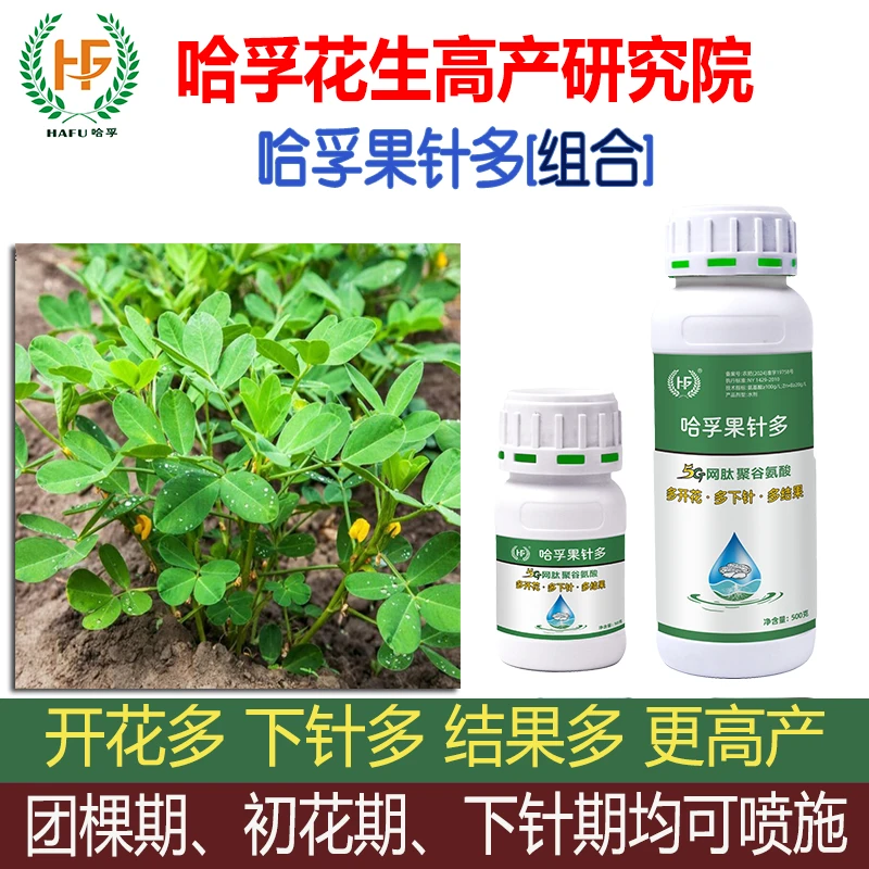 开花下针结果多聚谷氨酸水溶肥