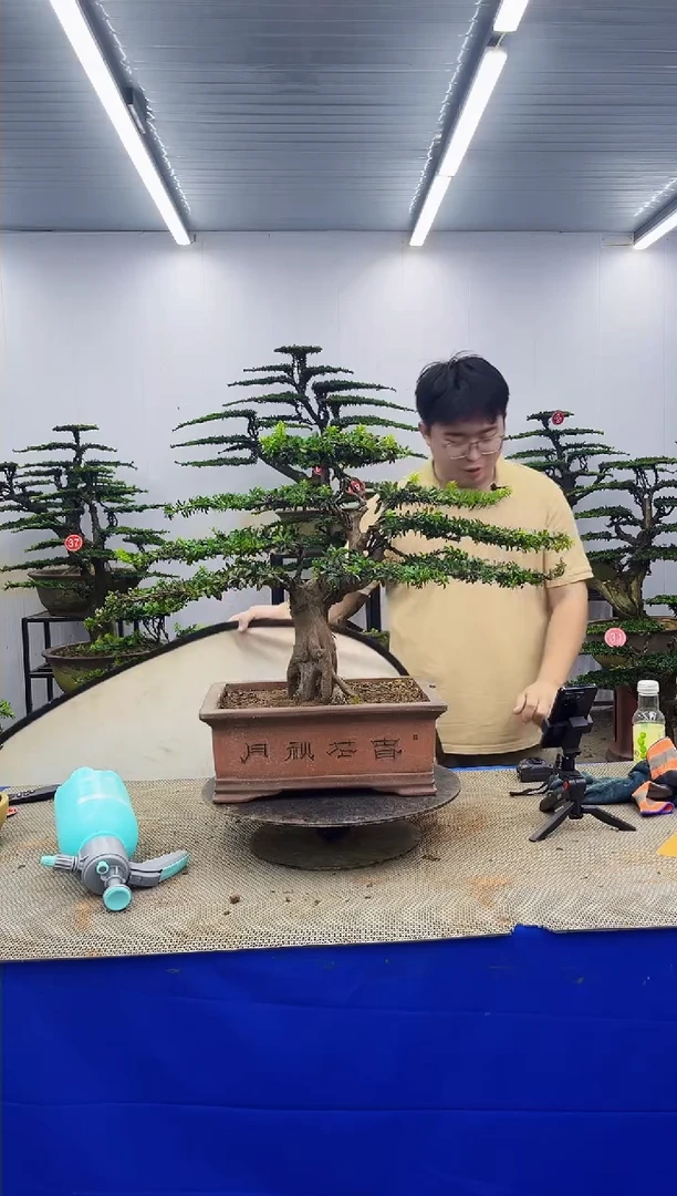 无花朵一物一拍，所见即所得