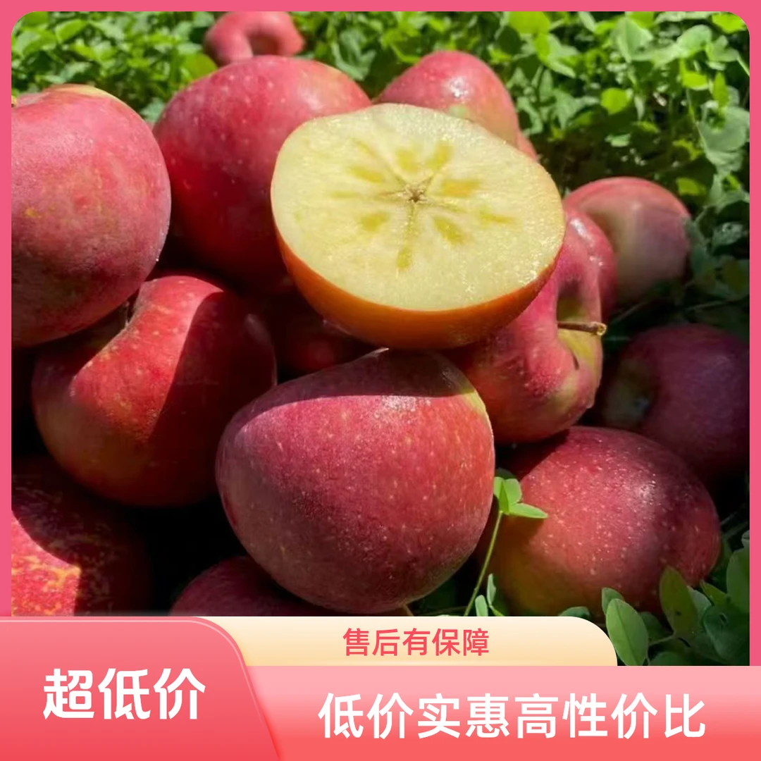 【2025鲜果】四川汉原高山冰糖心丑苹果当季新鲜水果脆甜多汁