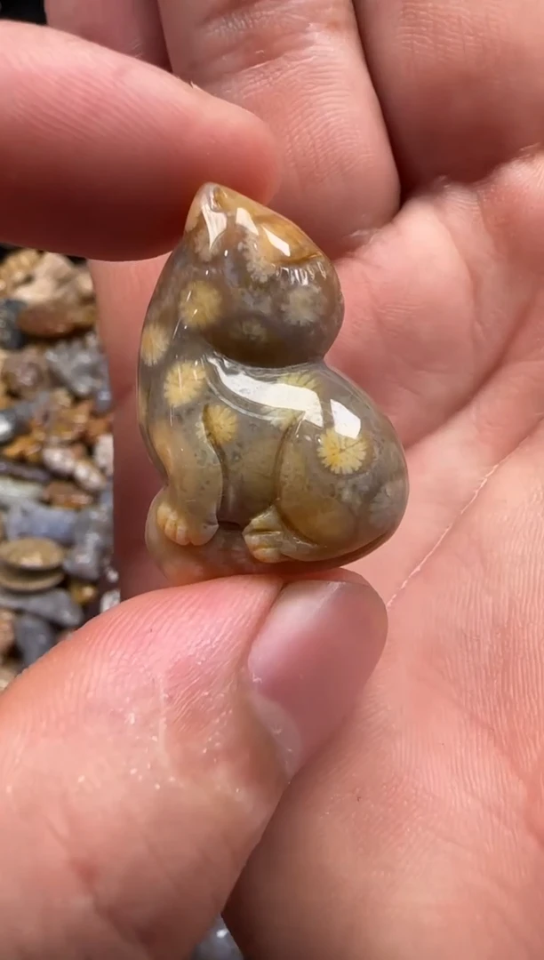 【闪购商品】硅化珊瑚（珊瑚玉）颈饰未镶嵌031