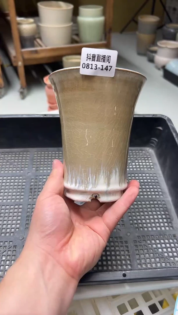 0813-147 万象微瑕 一只 口10