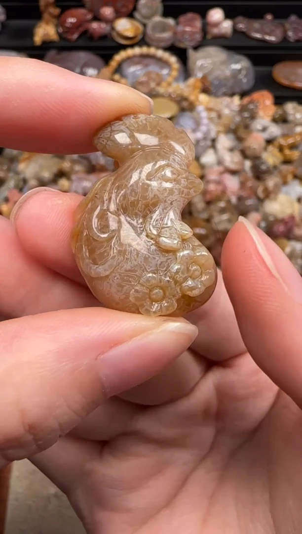 硅化珊瑚（珊瑚玉）未镶嵌颈饰889