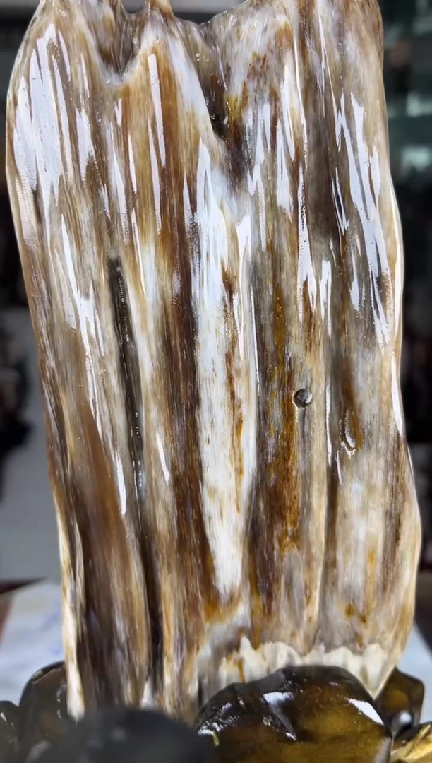 未镶嵌珠宝奇石硅化玉缅甸天然树化玉精品居家摆件