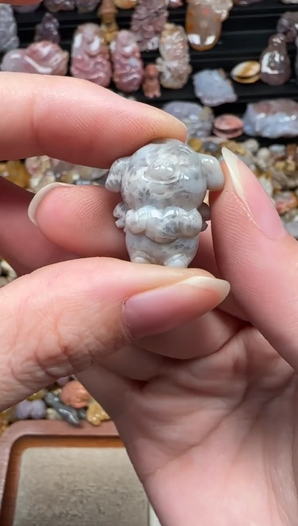 颈饰未镶嵌硅化珊瑚（珊瑚玉）375