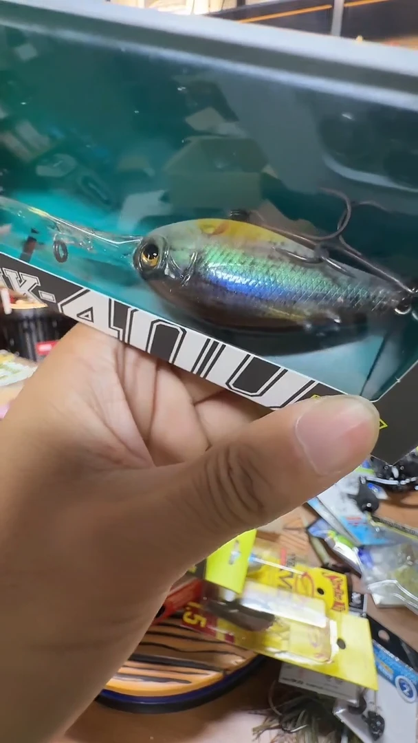 IK400 胖子 山水色 1盒