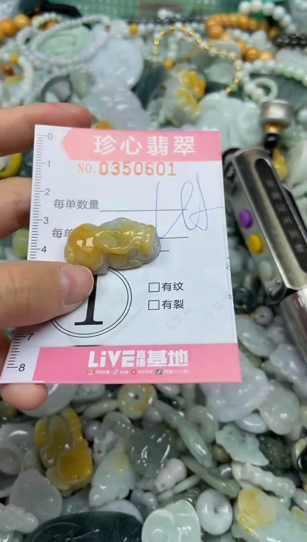 颈饰未镶嵌翡翠闪购0350601
