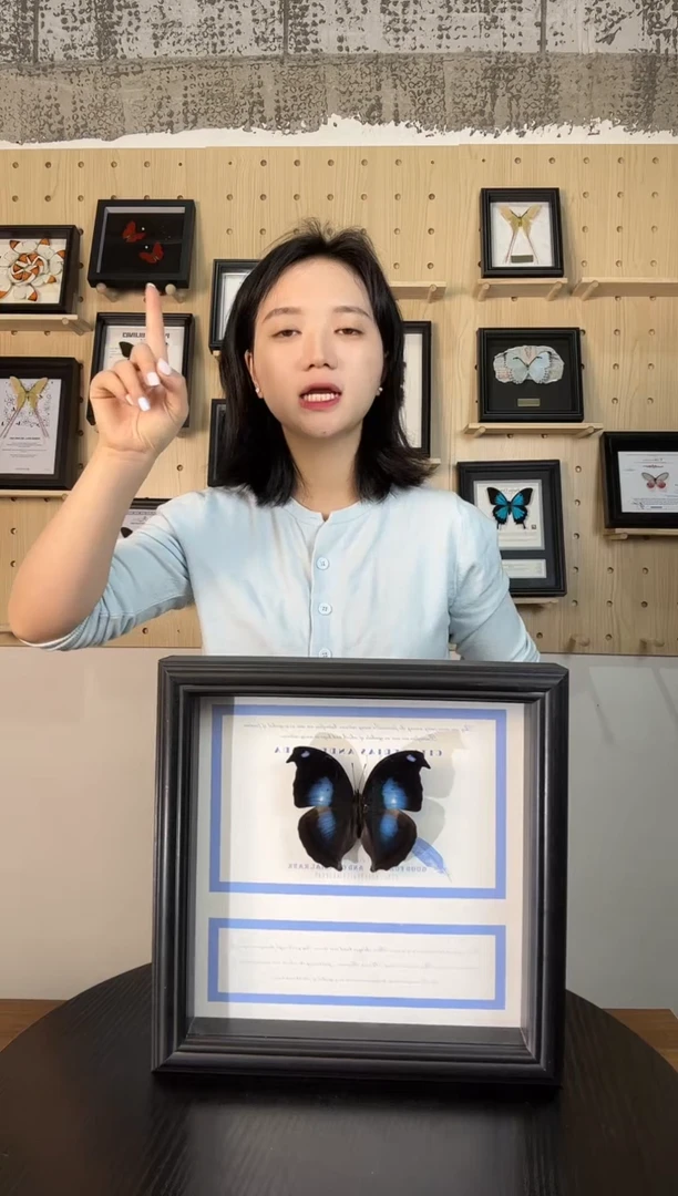 爱情鸟蛱蝶（蝴蝶装饰画8寸框）