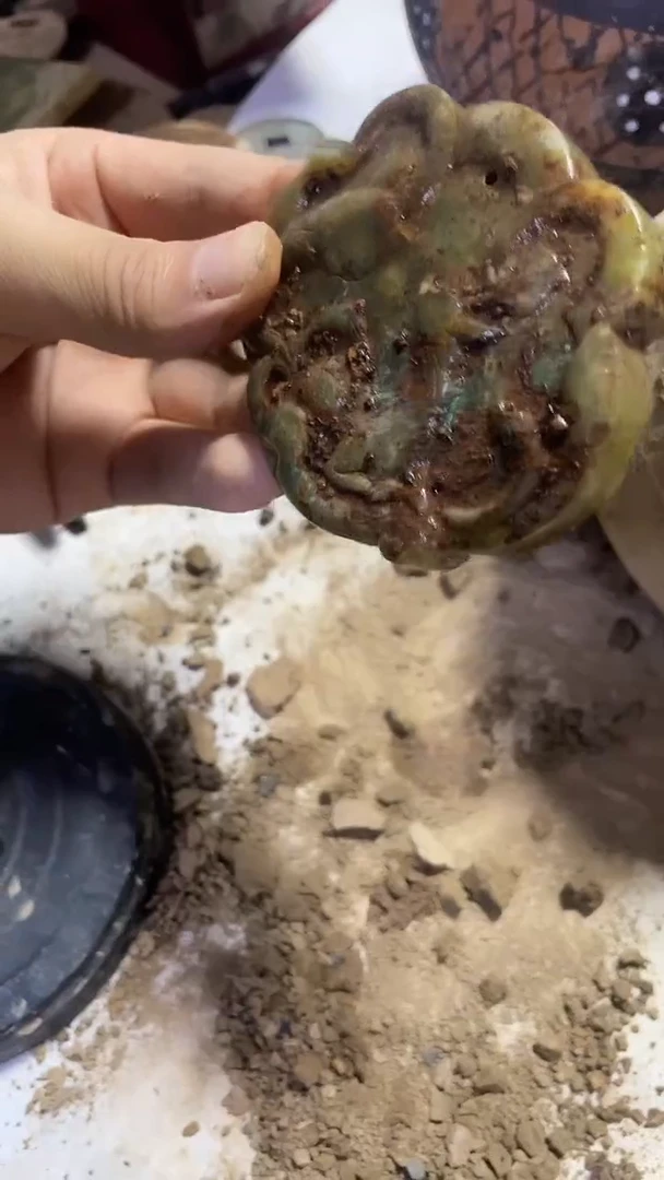 硅化玉珠宝奇石未镶嵌6