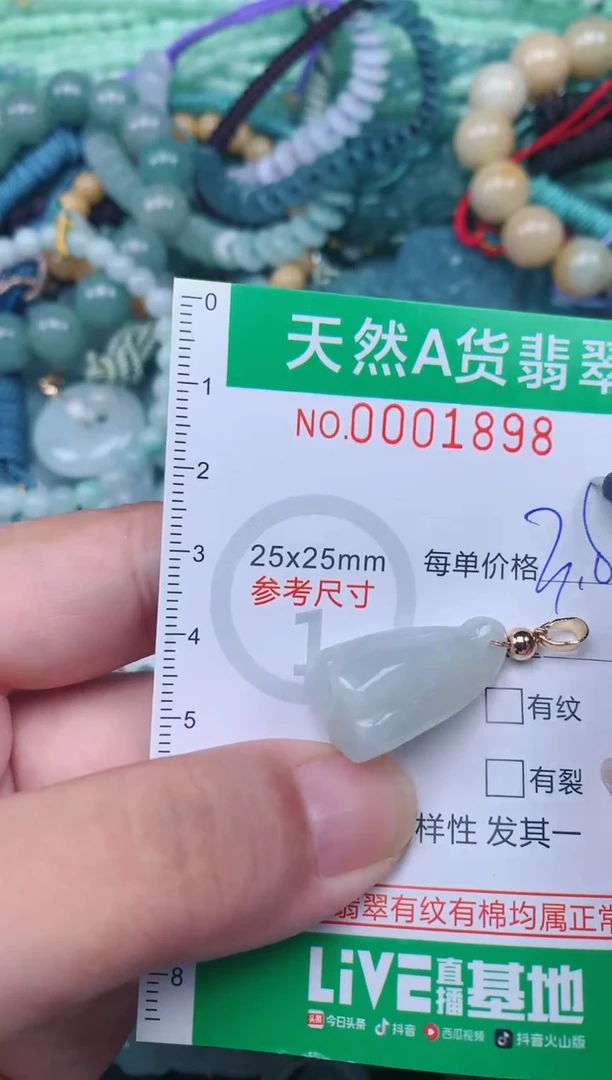 翡翠未镶嵌颈饰.0001898