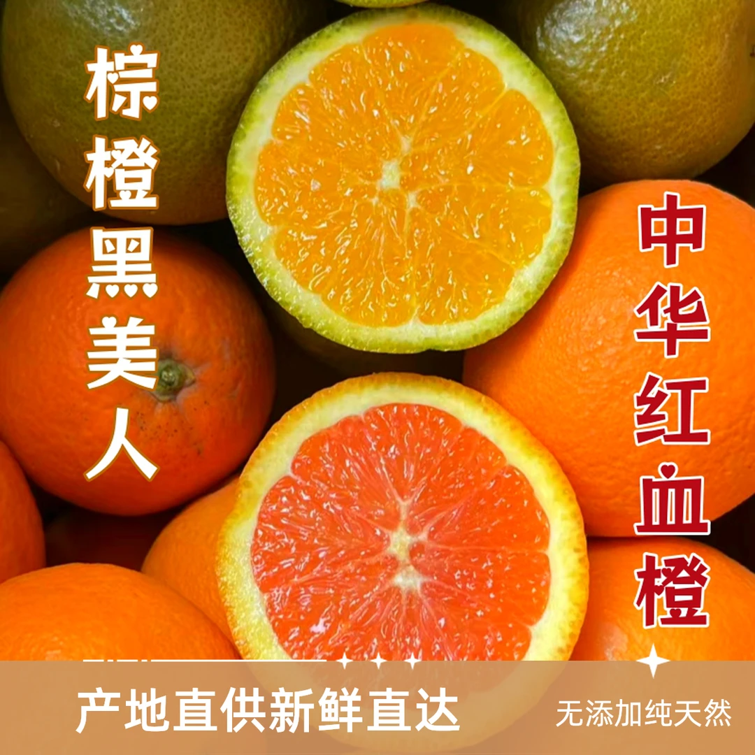 【秭归脐橙双拼】中华红血橙+黑美人棕橙巧克力橙甜橙多汁新鲜水果