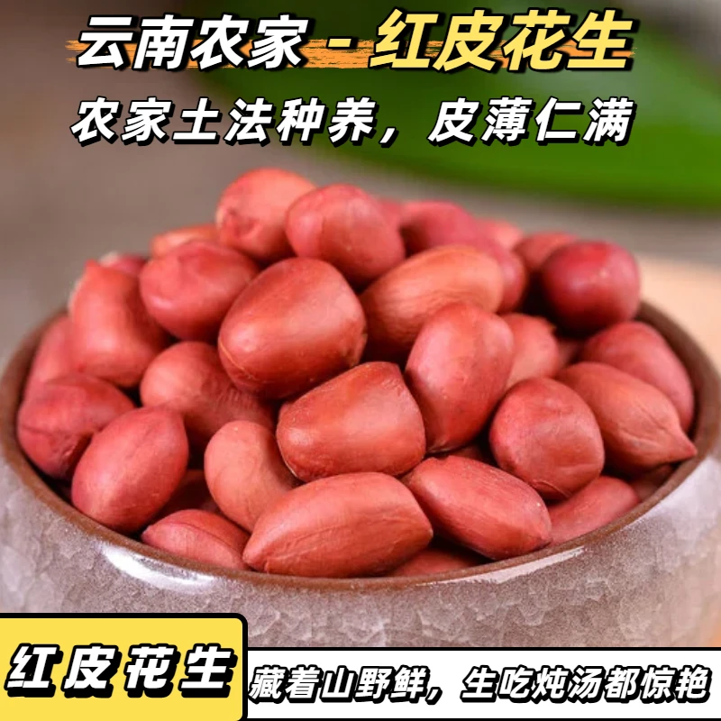 生红皮花生米当季新货正宗云南小粒红衣花生打豆浆牛奶煲汤专用
