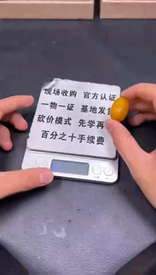 和田玉未镶嵌吊坠(不含链)和田玉1