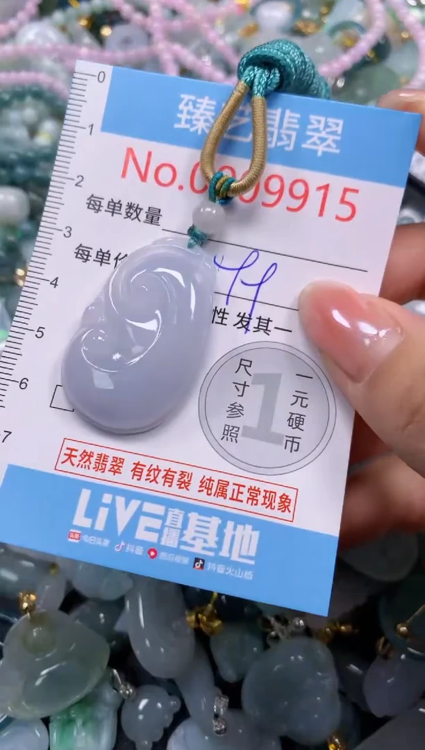 颈饰未镶嵌翡翠9915