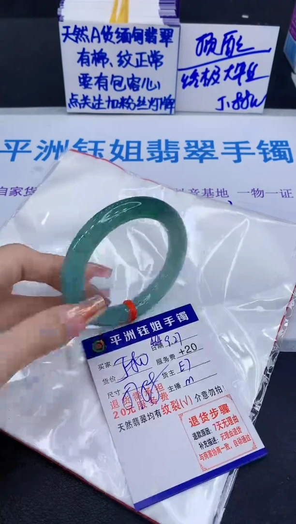 未镶嵌手镯翡翠11111