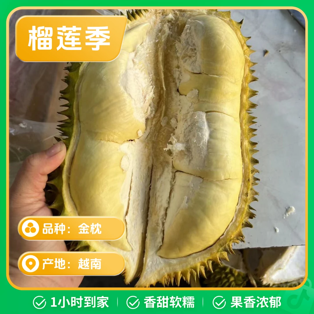 化州市区送货   金枕榴莲（无售后款）
