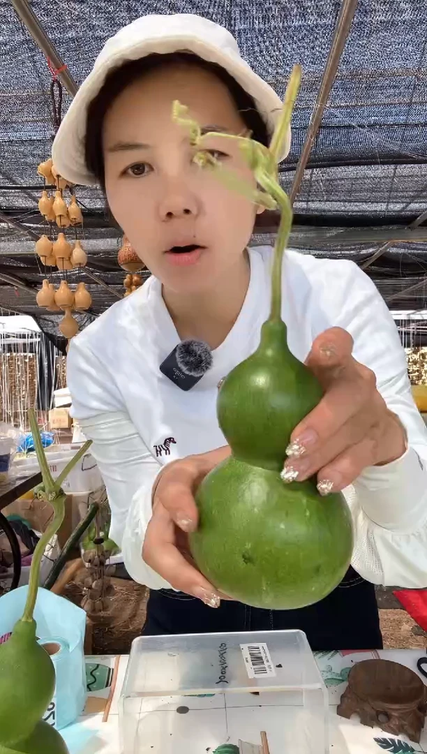 626天然葫芦摆件 一物一拍龙头不保售后