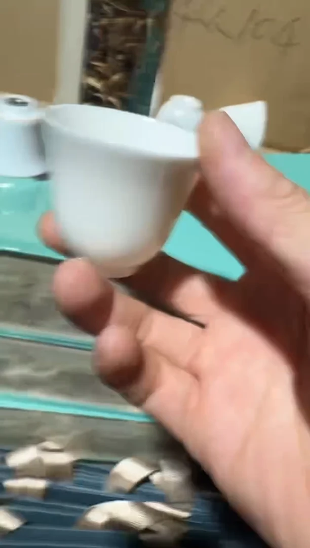陈皮丝主人杯····