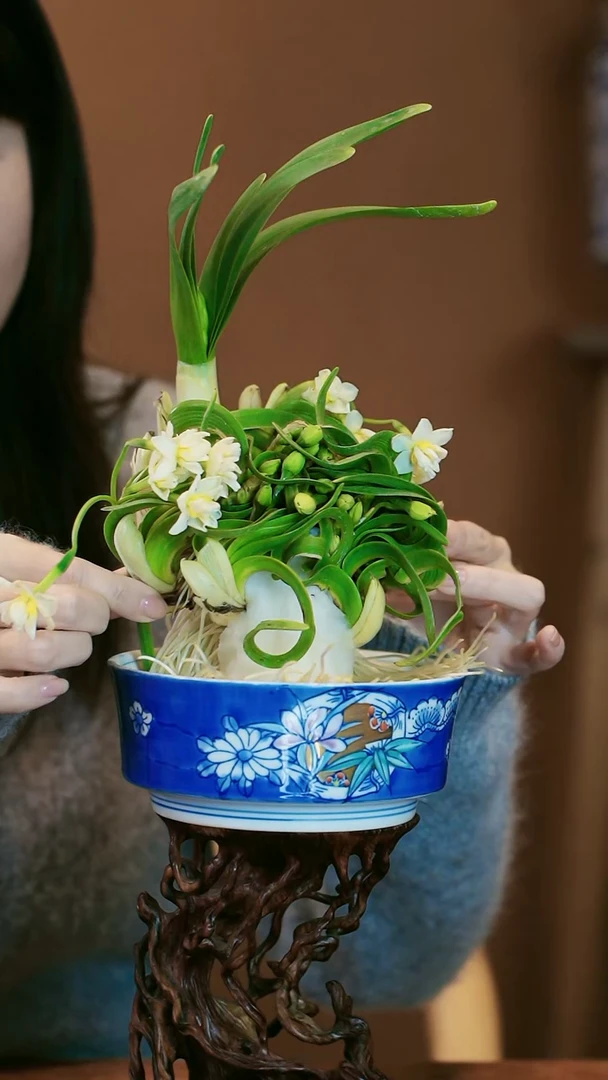 【闪购商品】盆景雕刻水仙