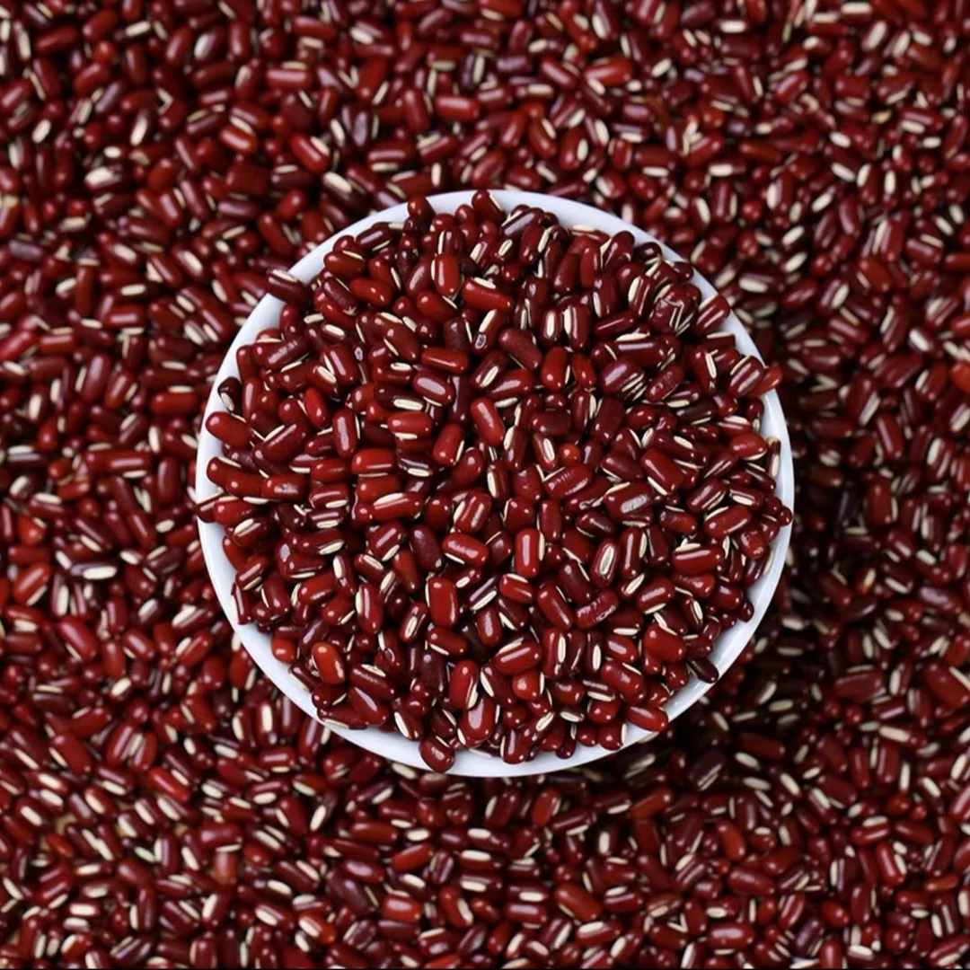 云南农产品赤小豆农产品