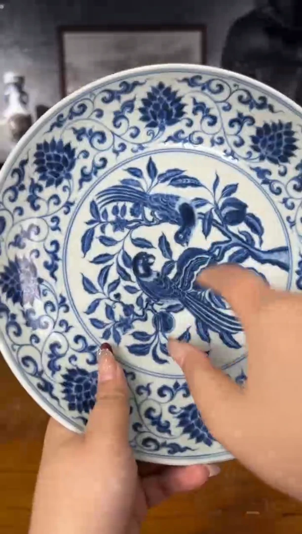 【闪购商品】其他景德镇陶瓷ddddddd69
