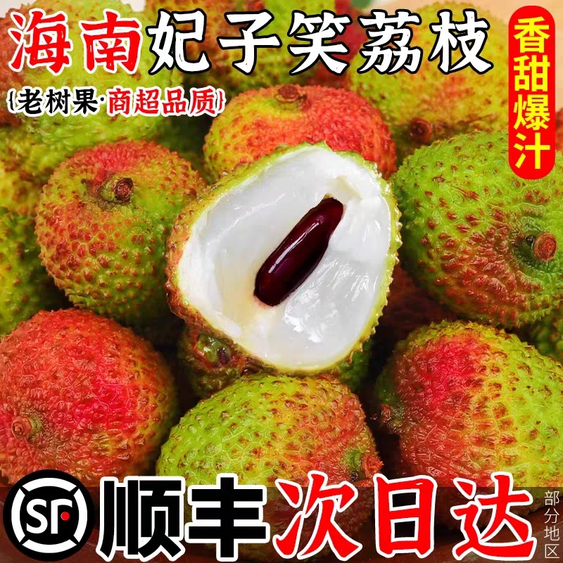 现货【海南妃子笑荔枝】拍3斤发5斤荔枝同城送
