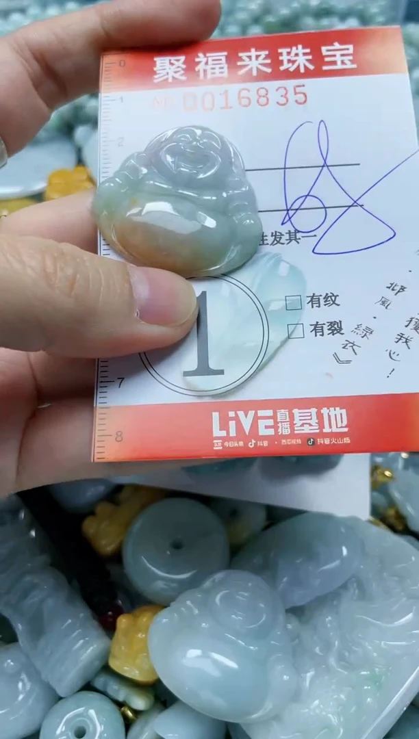 【闪购商品】翡翠颈饰未镶嵌闪购0016835