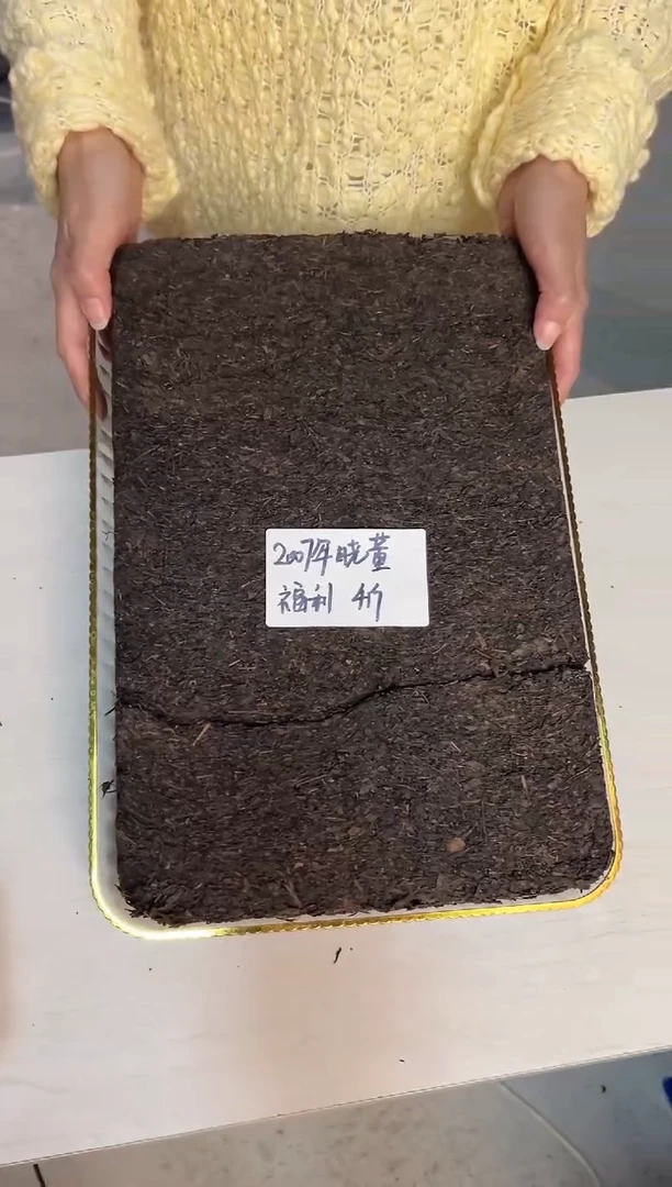 高马二溪 2007年 晓董福利 茯砖茶 4斤