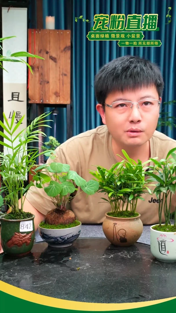 无花朵藍*苔藓微景观842号