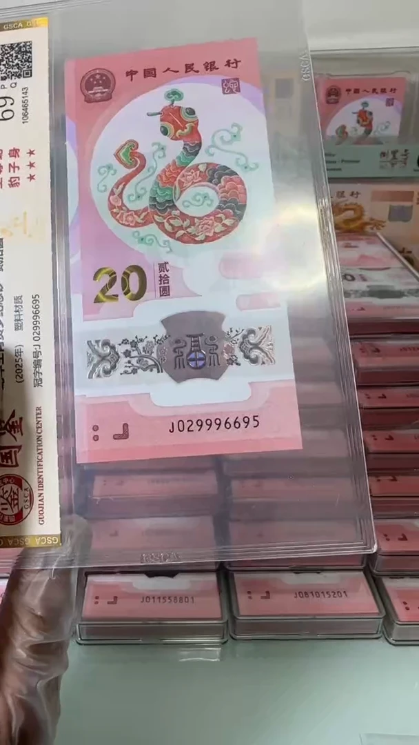 【闪购商品】塑料029996695-蛇钞单张！