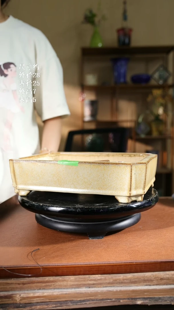 11寸倭角长方盆229