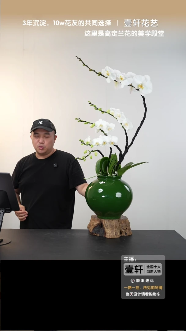 全部花朵030号链接【一物一拍】艺术盆景