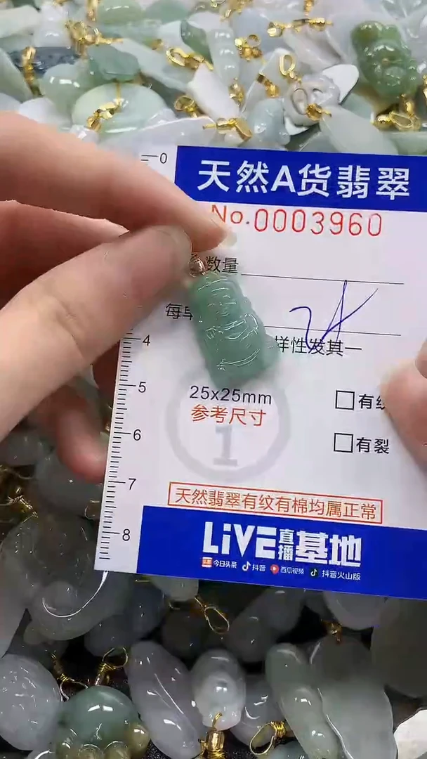 颈饰未镶嵌翡翠纯天然a货翡翠