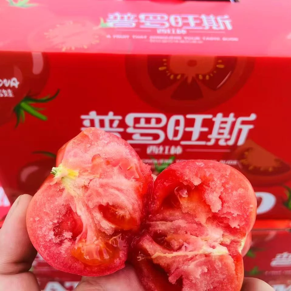 普罗旺斯孕妇水果当季沙瓤西红柿自然熟生吃番茄