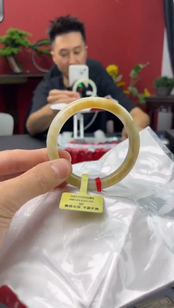 未镶嵌手镯翡翠3